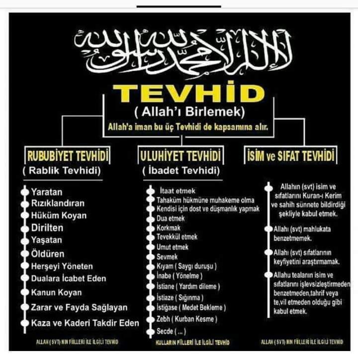 Tevhid-Nedemek